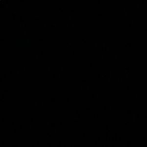 Meet your Posher, Corrina